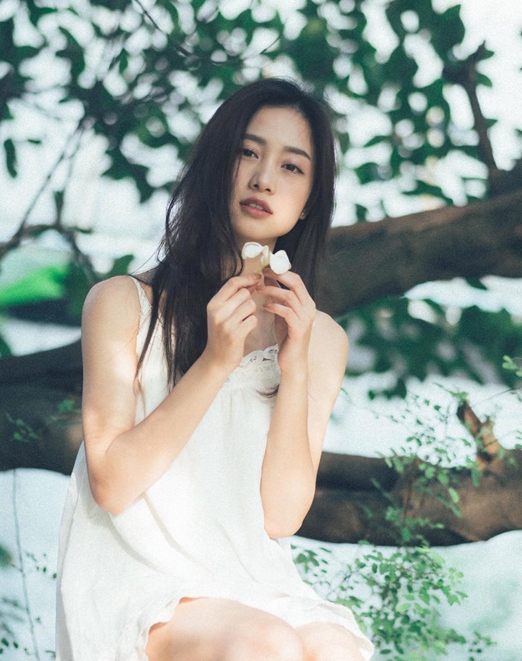 一级特级毛片